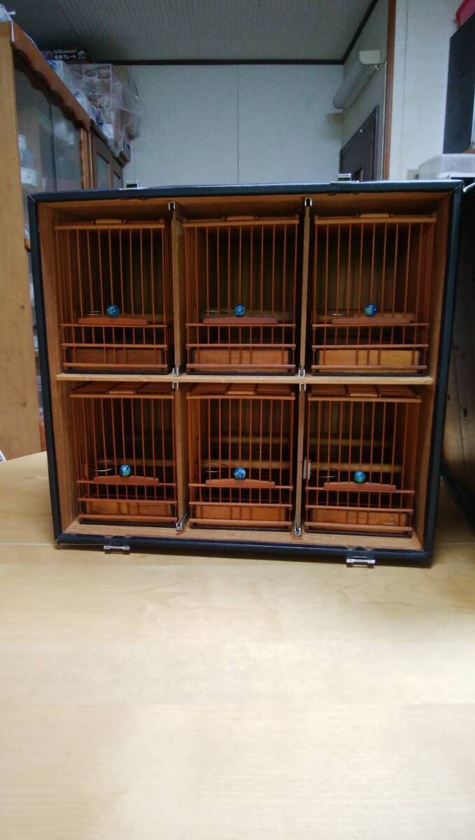 2025年最新】メジロ用の鳥かごを豊富なラインナップでご紹介 2025年最新】メジロ用の鳥かごを豊富なラインナップでご紹介