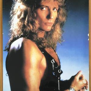 WHITESNAKE DAVID COVERDALE GEFFEN RECORDS PROMO POSTER 88㎝×58㎝ US製