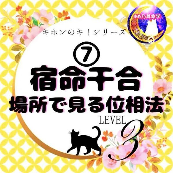 ゆめ乃算命学【キホン】⑦宿命干合/場所で見る位相法 レベル3 鑑定 本 占い