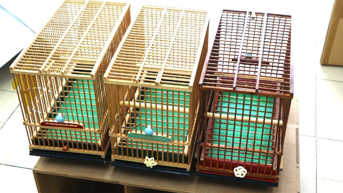 2025年最新】メジロ用の鳥かごを豊富なラインナップでご紹介 2025年最新】メジロ用の鳥かごを豊富なラインナップでご紹介