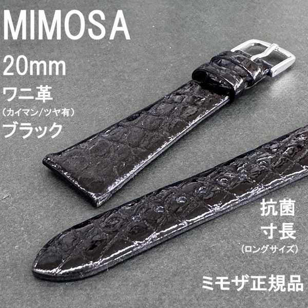 送料無料★特価 新品★MIMOSA 時計 ベルト ワニ革 バンド 20mm 抗菌 ブラック 黒 ロングサイズ 長い 寸長★ミモザ正規品 定価税込9,900円