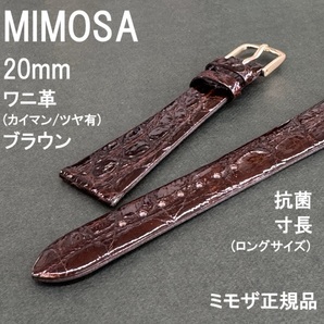 送料無料★特価 新品★MIMOSA 時計 ベルト ワニ革 バンド 20mm 抗菌 ブラウン ロングサイズ 長い 寸長★ミモザ正規品 定価税込9,900円