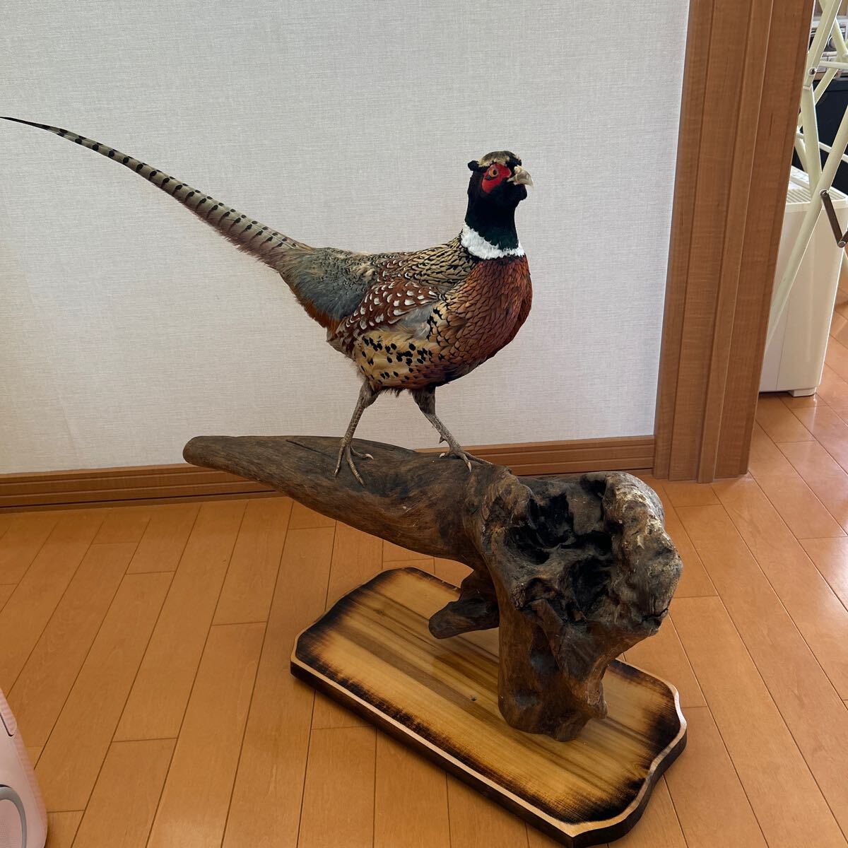 2025年最新】Yahoo!オークション -雉 置物の中古品・新品・未 2025年最新】Yahoo!オークション -雉 置物の中古品・新品・未