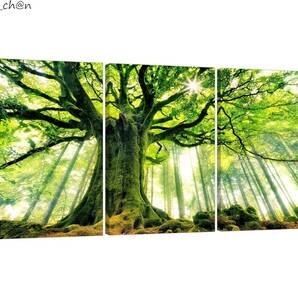 アートパネル 40×60cm×3pcs 森のポスター17 緑 森林 自然 風景 絵画 風景画 木製フレーム 幸運 風水 キャンバス