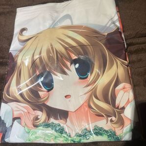 【未開封】るちえ 抱き枕カバー 【秋葉原電気外祭り2010冬】 かまやな