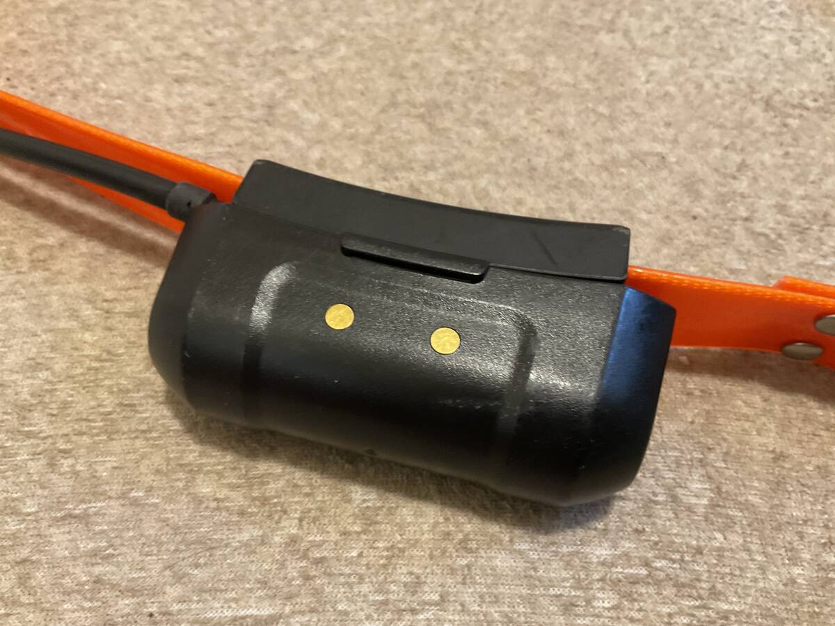 2025年最新】Yahoo!オークション -ガーミンdc50の中古品・新品 2025年最新】Yahoo!オークション -ガーミンdc50の中古品・新品