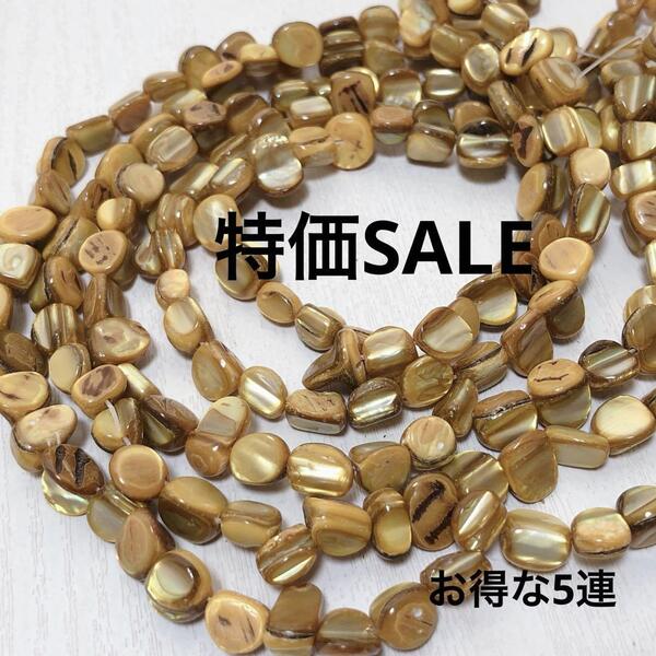 cn645/SALE!シェル◇イエローゴールド 5連