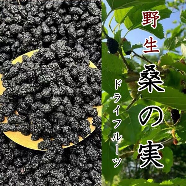 野生桑の実100g 乾燥 原料そのままマルベリー 桑の葉 桑の実 無農薬 無添加