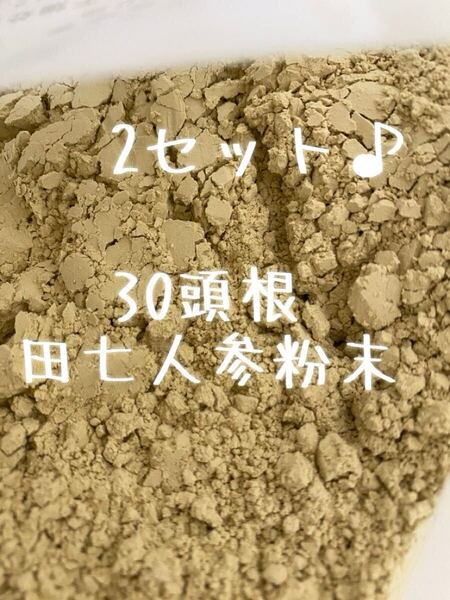 2袋200g雲南省産田七人参粉末30頭根 三七人参 パウダー無添加 原料そのまま 雲南省文山産 田七人参 三七人参 厳選天然栽培