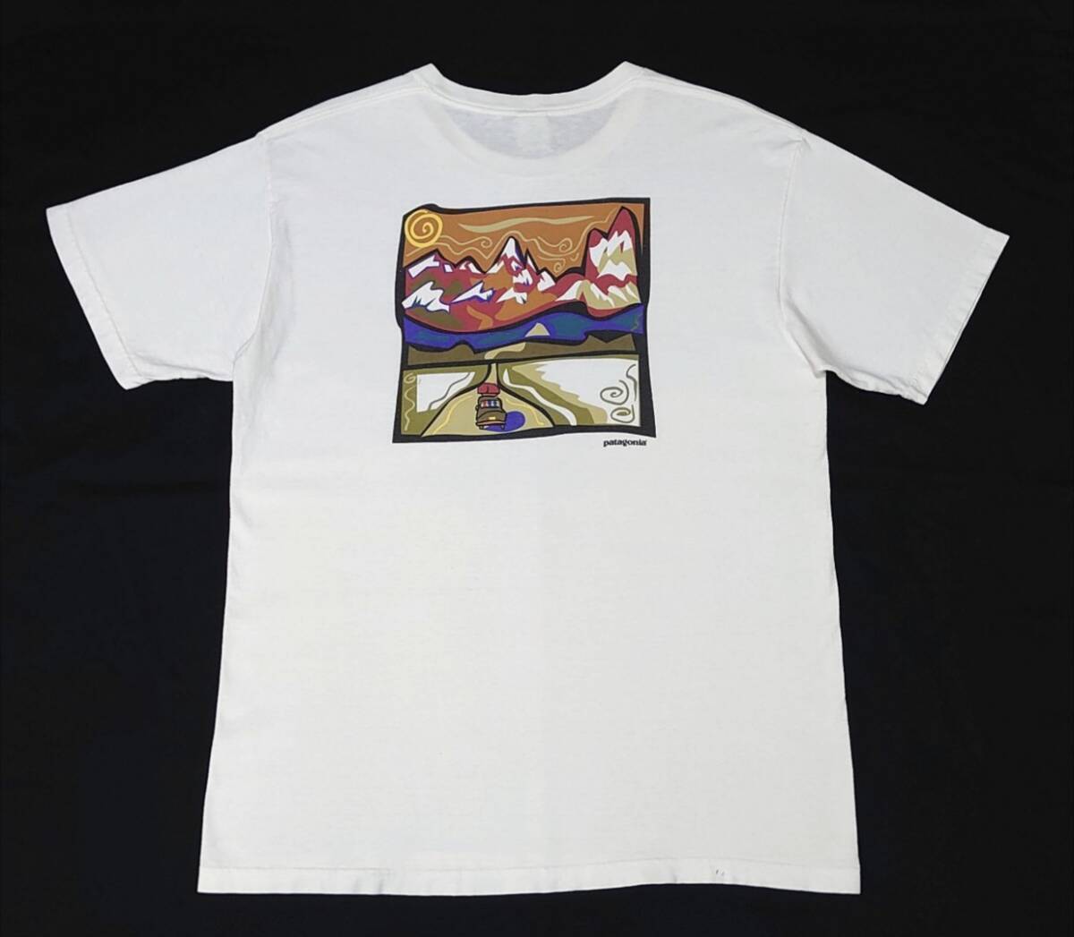 美品 M 絶滅危惧種 Patagonia ネイビーブルー USA パタゴニア T