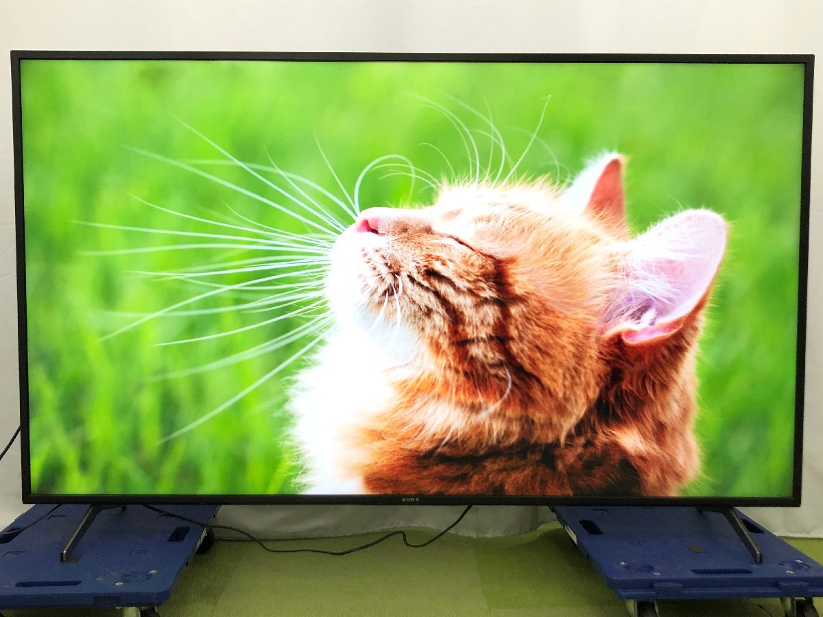 Yahoo!オークション -「kj-65x8000h」の落札相場・落札価格 Yahoo!オークション -「kj-65x8000h」の落札相場・落札価格