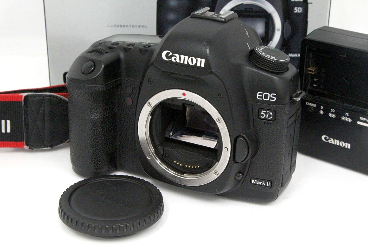 2025年最新】Yahoo!オークション -eos 5d mark4の中古品・新品 2025年最新】Yahoo!オークション -eos 5d mark4の中古品・新品