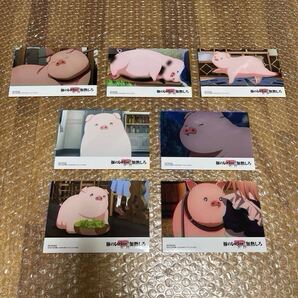 豚のレバーは加熱しろ 豚レバ ブタマイド 全7種セット