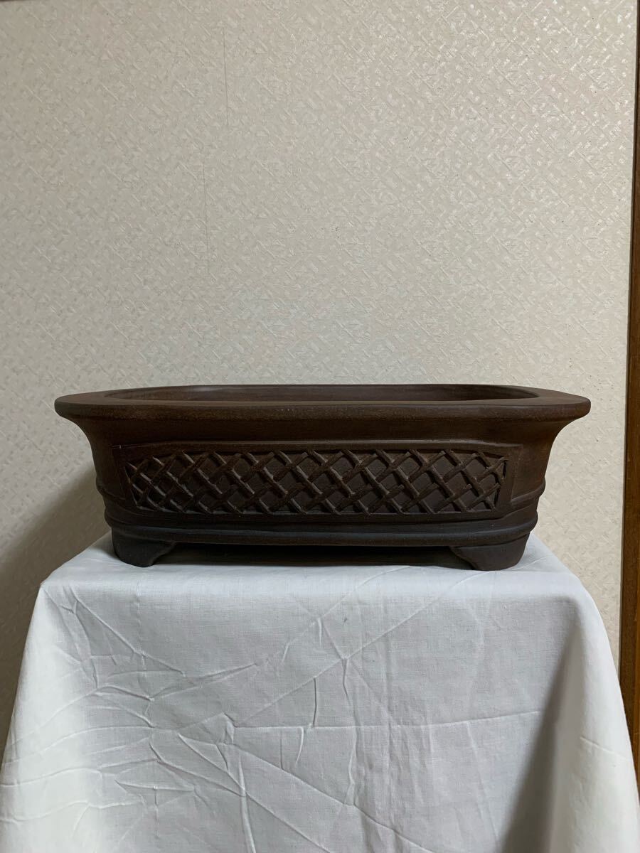 Yahoo!オークション -「中野行山鉢」(盆栽) の落札相場・落札価格 Yahoo!オークション -「中野行山鉢」(盆栽) の落札相場・落札価格