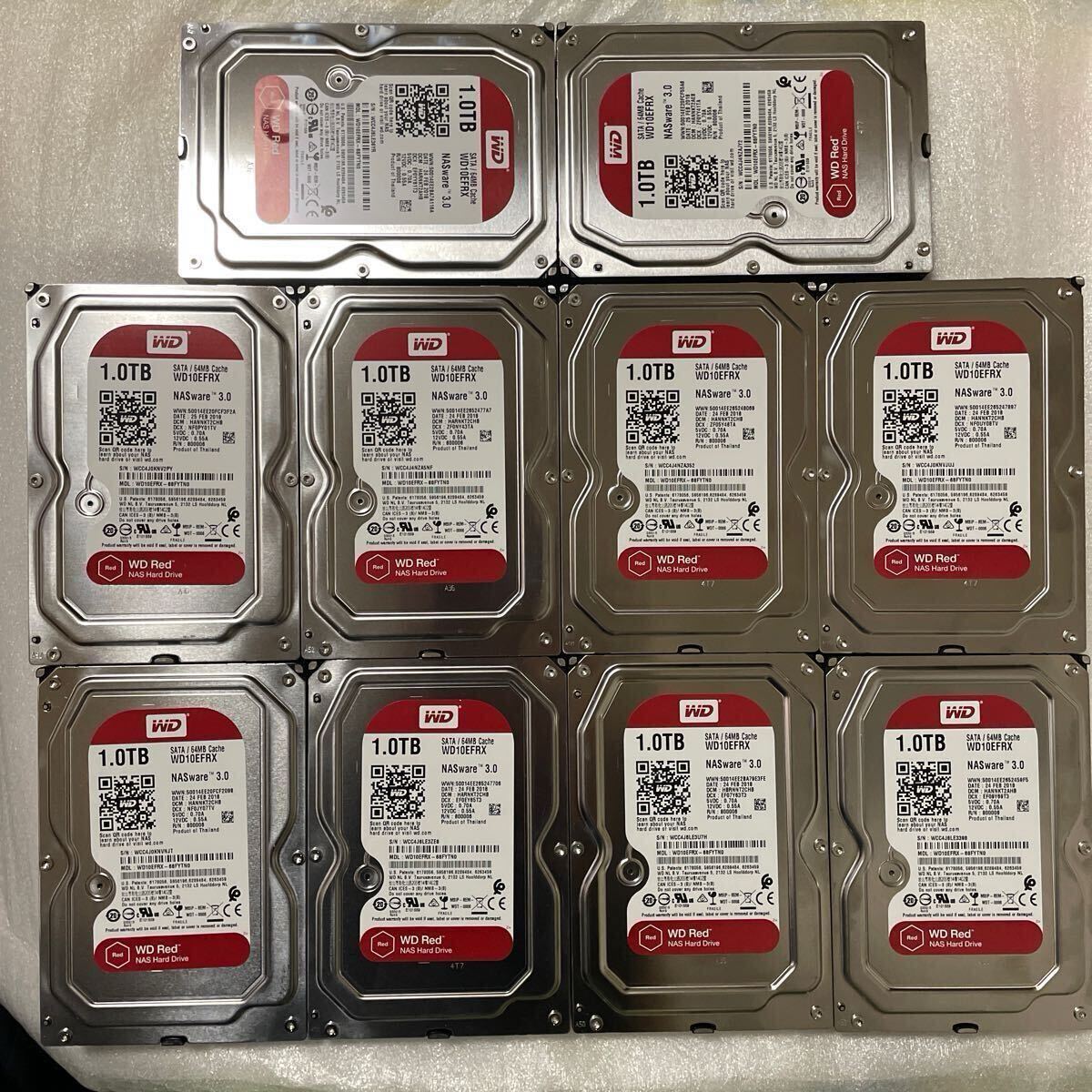 Amazon | Western Digital HDD 1TB WD Red NAS RAID 3.5インチ