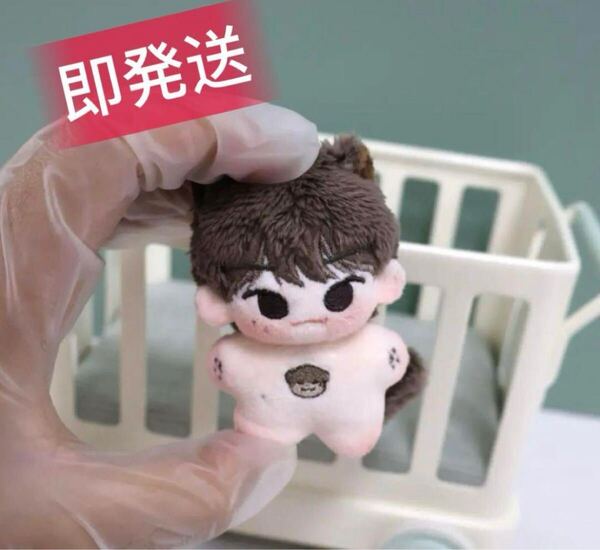 即発送 5cm ディノ 李 ぬいぐるみ SEVENTEEN セブチ