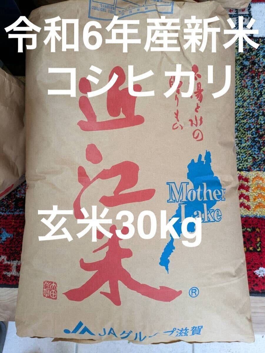 Yahoo!オークション -「コシヒカリ 30kg」の落札相場・落札価格 Yahoo!オークション -「コシヒカリ 30kg」の落札相場・落札価格