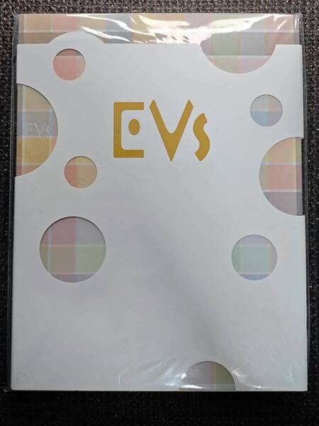 EVs イーブイズ ポケットモンスター ポケモン イラスト集