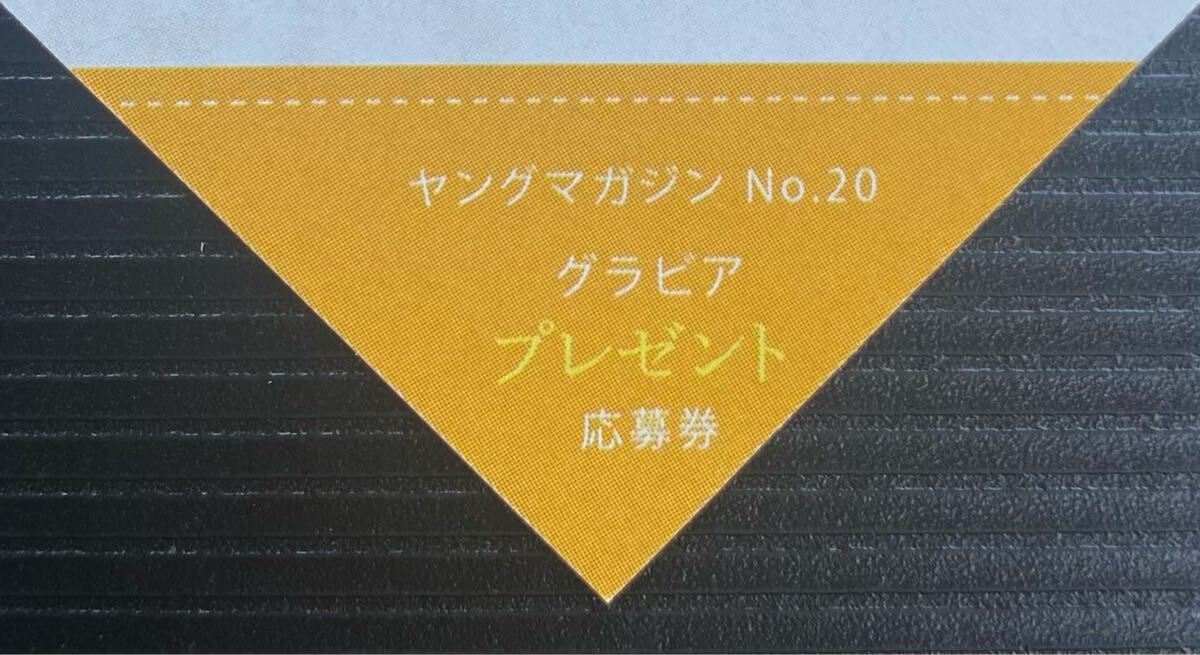 Yahoo!オークション - ヤングマガジン20号堀口真帆直筆サイン