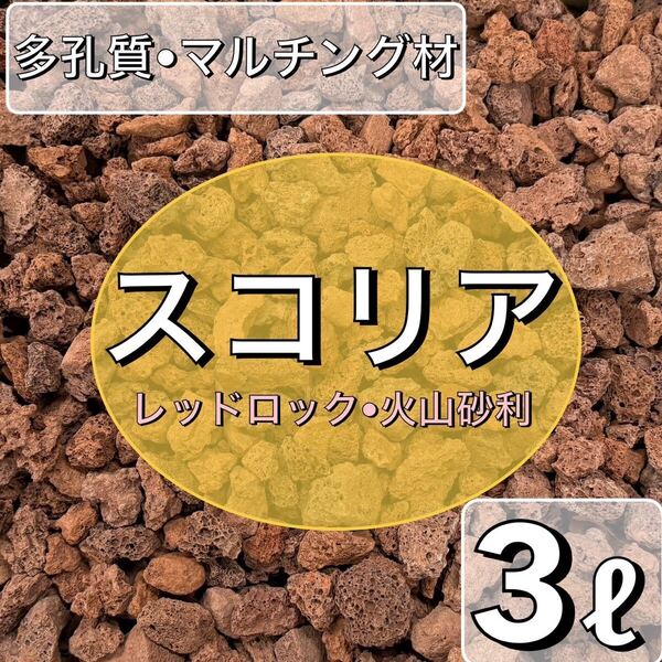 スコリア 火山砂利 3L アクアリウム 多肉植物 サボテン 溶岩 水槽