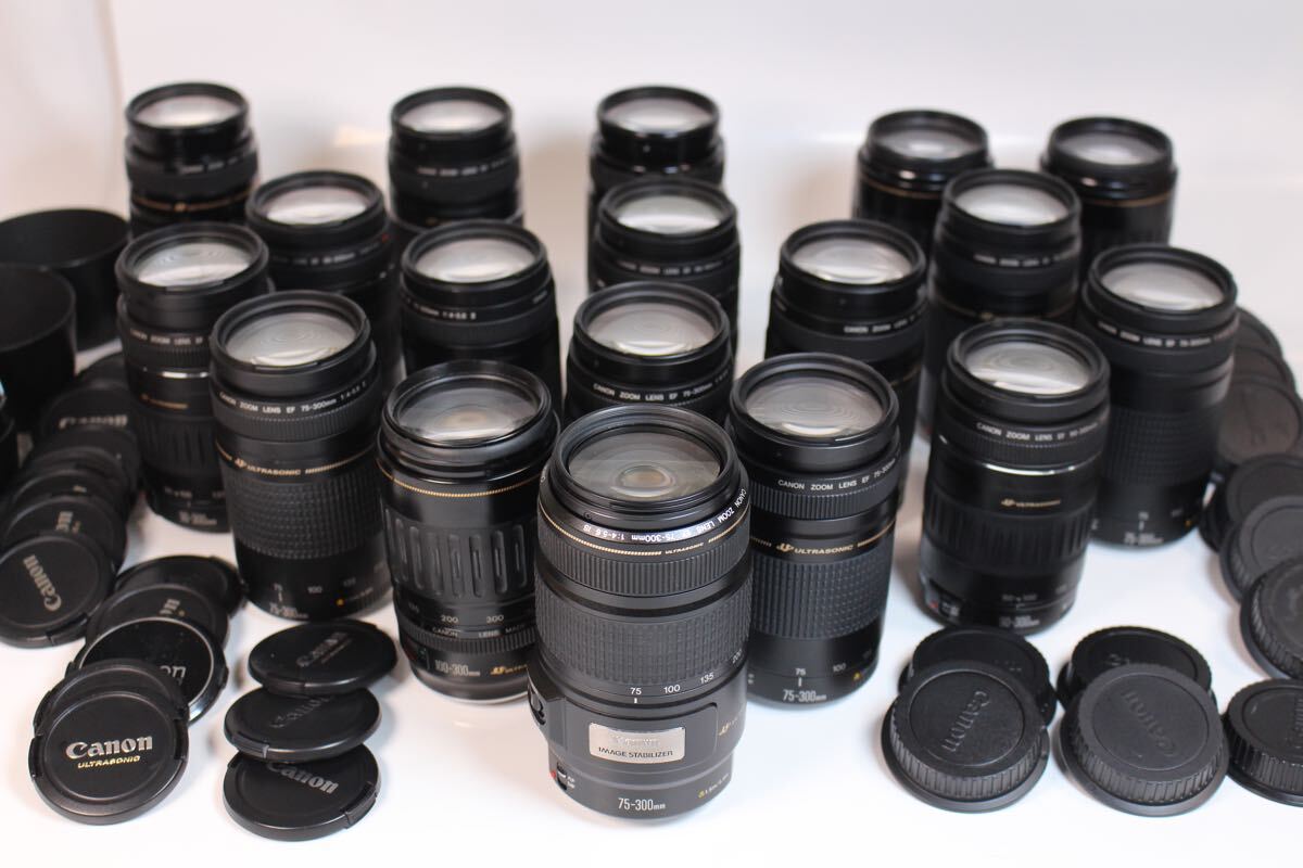 Yahoo!オークション -「canon ef 100-300mm」の落札相場・落札価格 Yahoo!オークション -「canon ef 100-300mm」の落札相場・落札価格