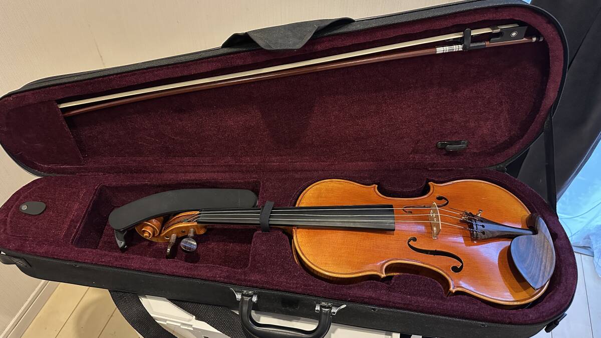 2025年最新】Yahoo!オークション -ピグマリウス(弦楽器)の中古品 2025年最新】Yahoo!オークション -ピグマリウス(弦楽器)の中古品