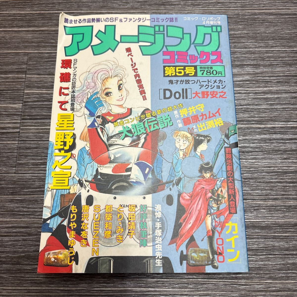 犬狼伝説 全 コンプリートブック CD欠品！