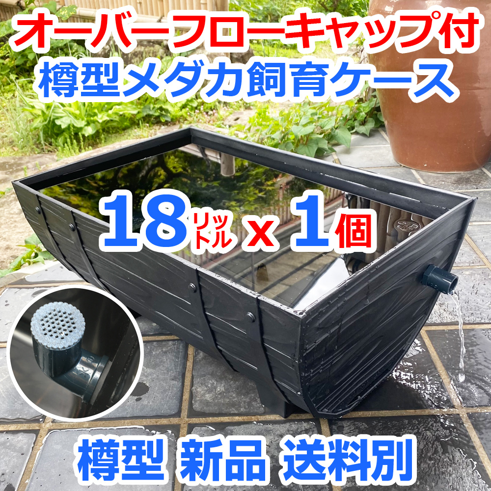 2025年最新】Yahoo!オークション -メダカ 飼育容器の中古品 2025年最新】Yahoo!オークション -メダカ 飼育容器の中古品
