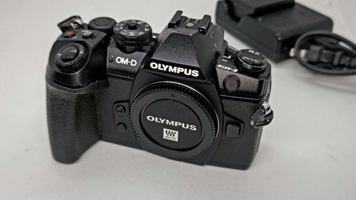 2025年最新】Yahoo!オークション -OM-D e-m1 mark ii ボディの 2025年最新】Yahoo!オークション -OM-D e-m1 mark ii ボディの