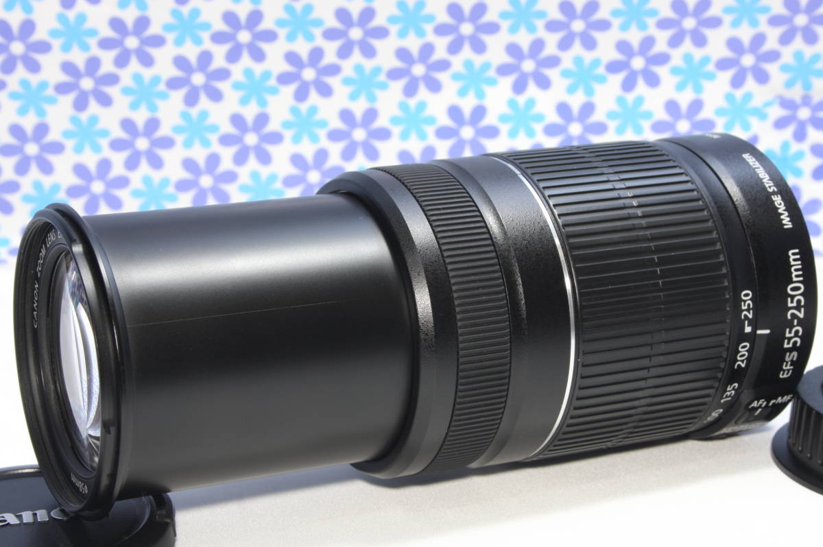 2025年最新】Yahoo!オークション -ef-s55-250mmの中古品・新品 2025年最新】Yahoo!オークション -ef-s55-250mmの中古品・新品