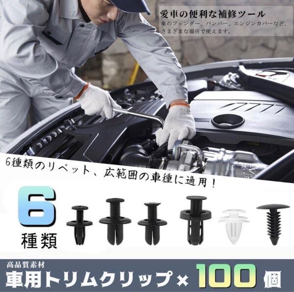 トリムクリップ リベット 100個 6種類 トリムクリップ バンパークリップ