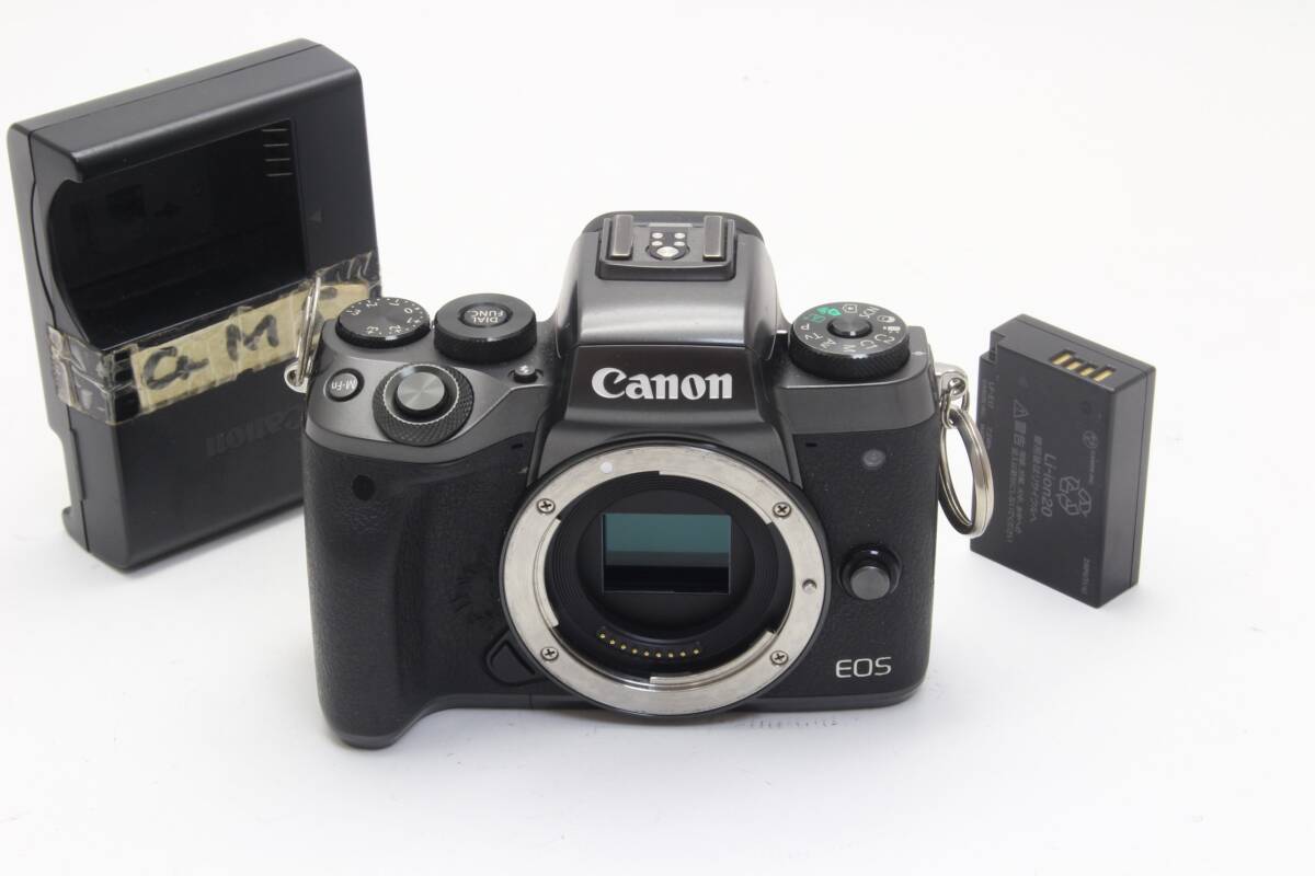 2025年最新】Yahoo!オークション -eos-m5の中古品・新品・未使用 2025年最新】Yahoo!オークション -eos-m5の中古品・新品・未使用