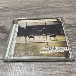 Accept the world / Tribal chair