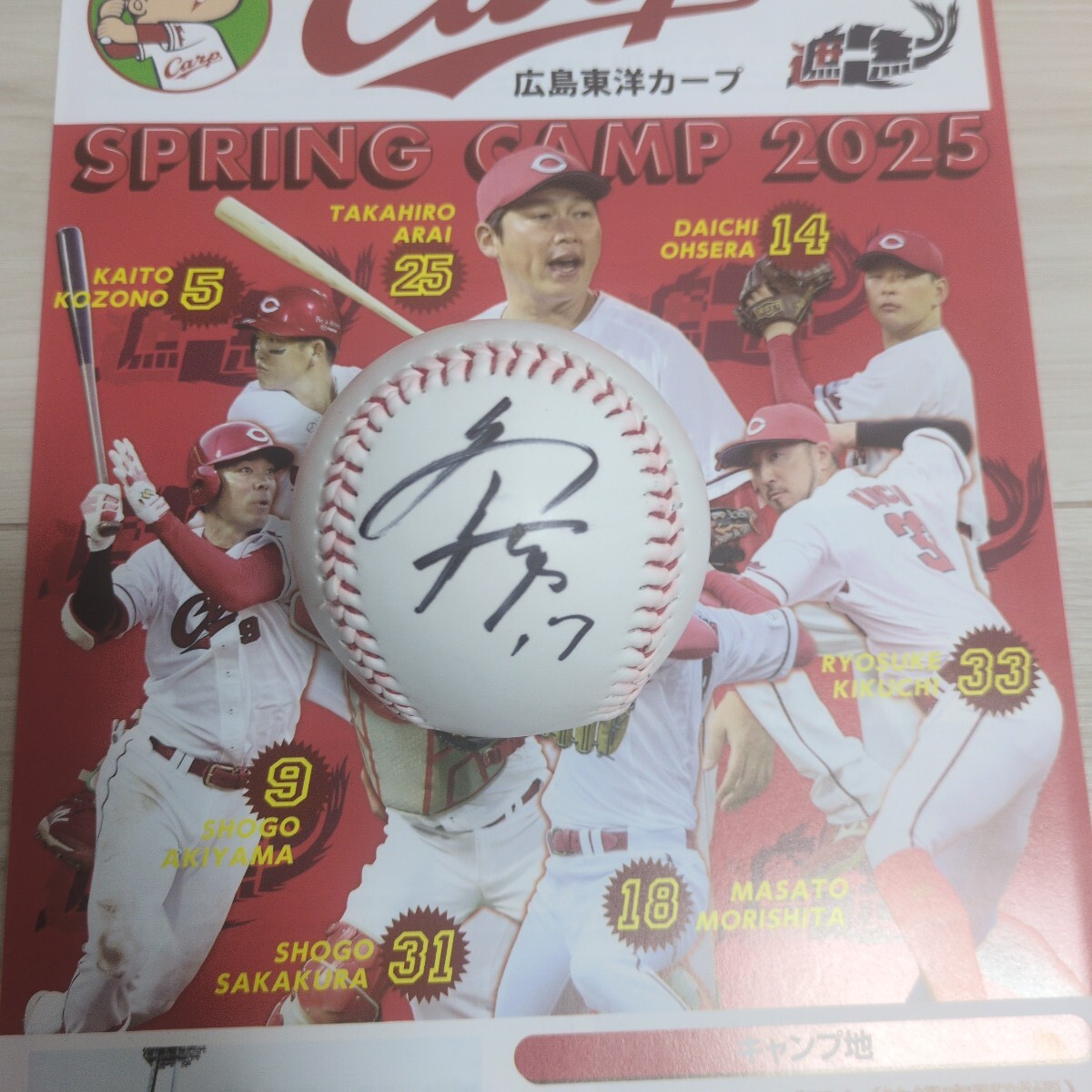 2025年最新】Yahoo!オークション -広島カープサインボールの中古 2025年最新】Yahoo!オークション -広島カープサインボールの中古