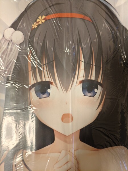 新品 未使用 未開封 ゆずソフト RIDDLE JOKER リドルジョーカー 二条院葉月 抱き枕カバー
