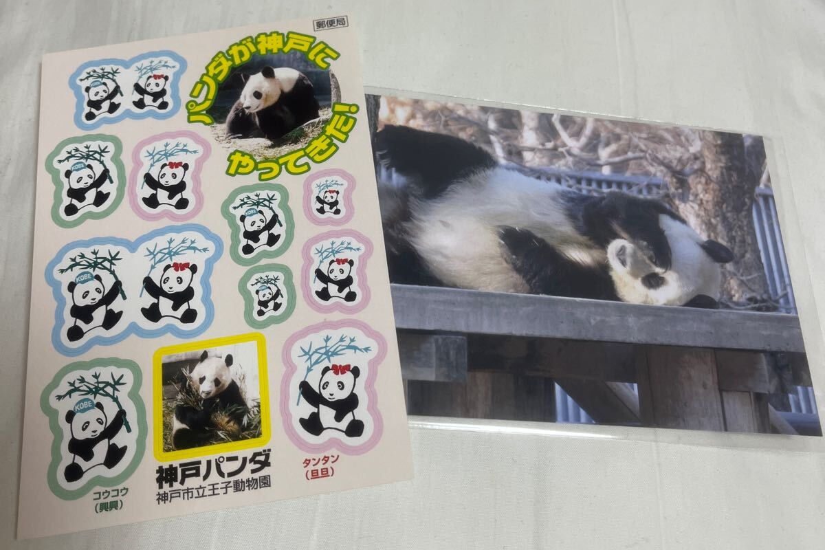 Yahoo!オークション -「タンタン」(パンダ) (動物)の落札相場 Yahoo!オークション -「タンタン」(パンダ) (動物)の落札相場