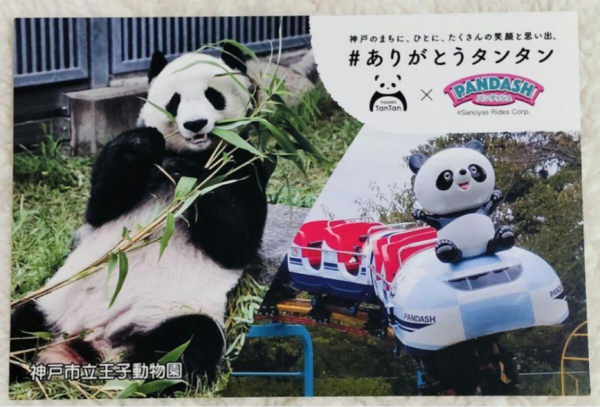 Yahoo!オークション -「王子動物園」の落札相場・落札価格 Yahoo!オークション -「王子動物園」の落札相場・落札価格