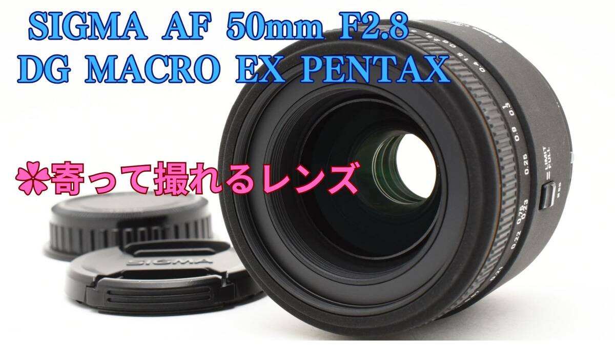 2025年最新】Yahoo!オークション -macro 50mm f2.8 ex dg 2025年最新】Yahoo!オークション -macro 50mm f2.8 ex dg