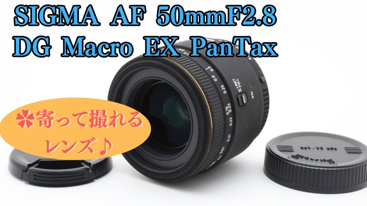2025年最新】Yahoo!オークション -macro 50mm f2.8 ex dg 2025年最新】Yahoo!オークション -macro 50mm f2.8 ex dg
