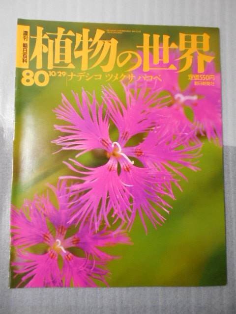 2025年最新】Yahoo!オークション -朝日百科 植物の世界の中古品 2025年最新】Yahoo!オークション -朝日百科 植物の世界の中古品