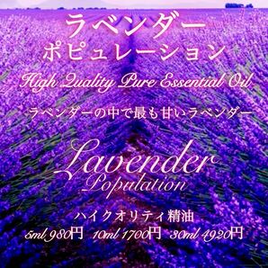 【甘くラベンダーのフラワー感溢れる香り】ラベンダーポピュレーション精油10ml
