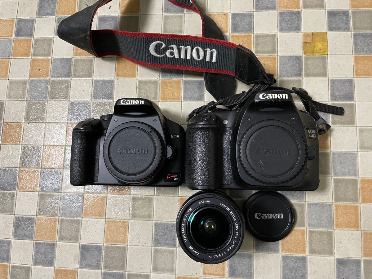 2025年最新】Yahoo!オークション -canon eos 30d(デジタル一眼 2025年最新】Yahoo!オークション -canon eos 30d(デジタル一眼