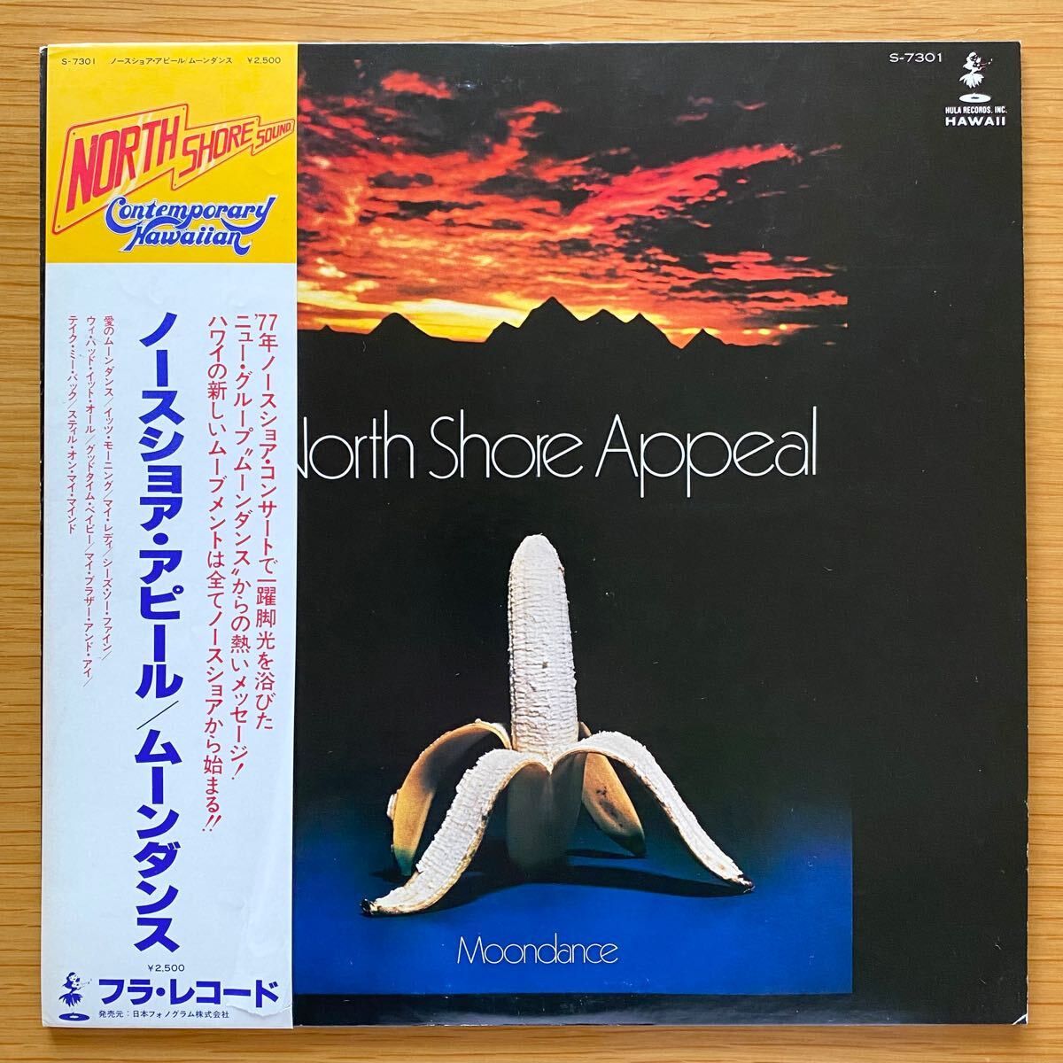 2025年最新】Yahoo!オークション -macky feary bandの中古品