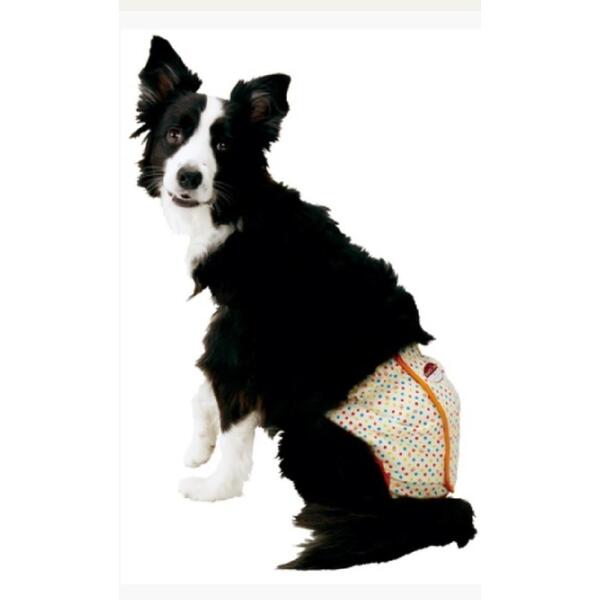 ペティオ 紙おむつカバー中型犬用2Lサイズ20kgマナーウェアーマナーパンツ