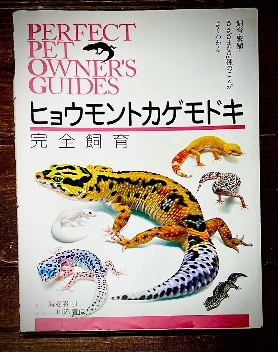 2025年最新】Yahoo!オークション -レオパ ヒョウモンの中古品
