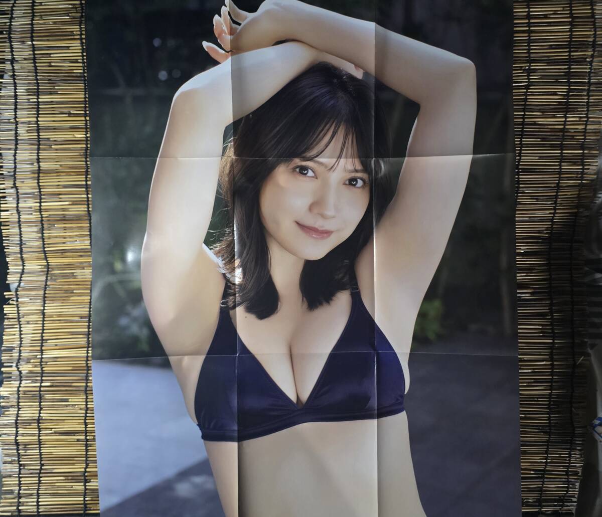 Yahoo!オークション -「桃月なしこ」(タレント) (ポスター)の