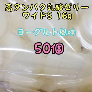 高タンパク乳酸ゼリーワイドS16g 50個 フジコン 昆虫ゼリー オオクワ カブトムシ ハリネズミ ハムスター モモンガ ドルクスゼリー