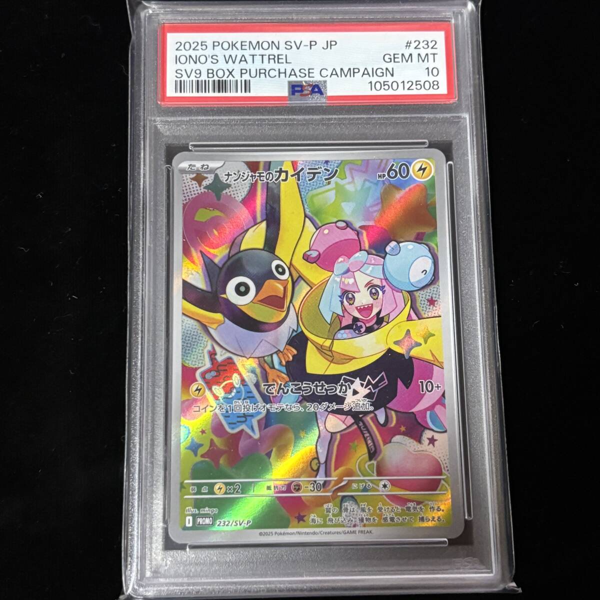 Yahoo!オークション -「psa10 カイ」(ポケモンカードゲーム Yahoo!オークション -「psa10 カイ」(ポケモンカードゲーム