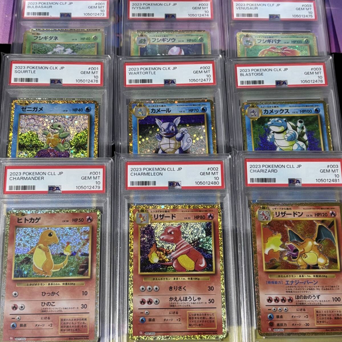 2025年最新】Yahoo!オークション -フシギバナ psa10の中古品 2025年最新】Yahoo!オークション -フシギバナ psa10の中古品