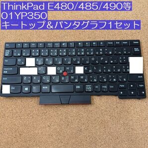●キートップ+パンダグラフ1セット●Lenovo ThinkPad E480/485/490等用 01YP350